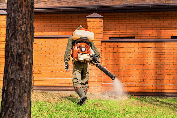 Trusted Ant Control service in Three Rivers, OR - Nex Pest Control